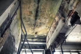 Best Biohazard Mold Removal  in Pleasant Hill, MS